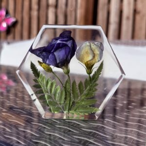Small Resin Hexagon