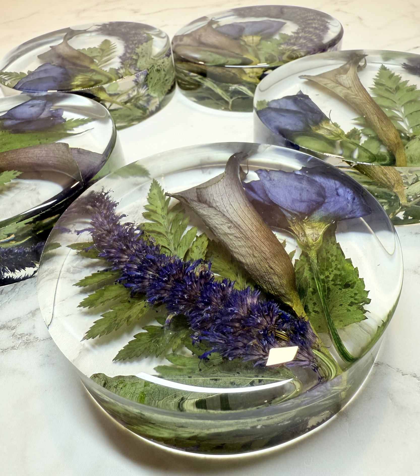 Flower Preservation Coasters